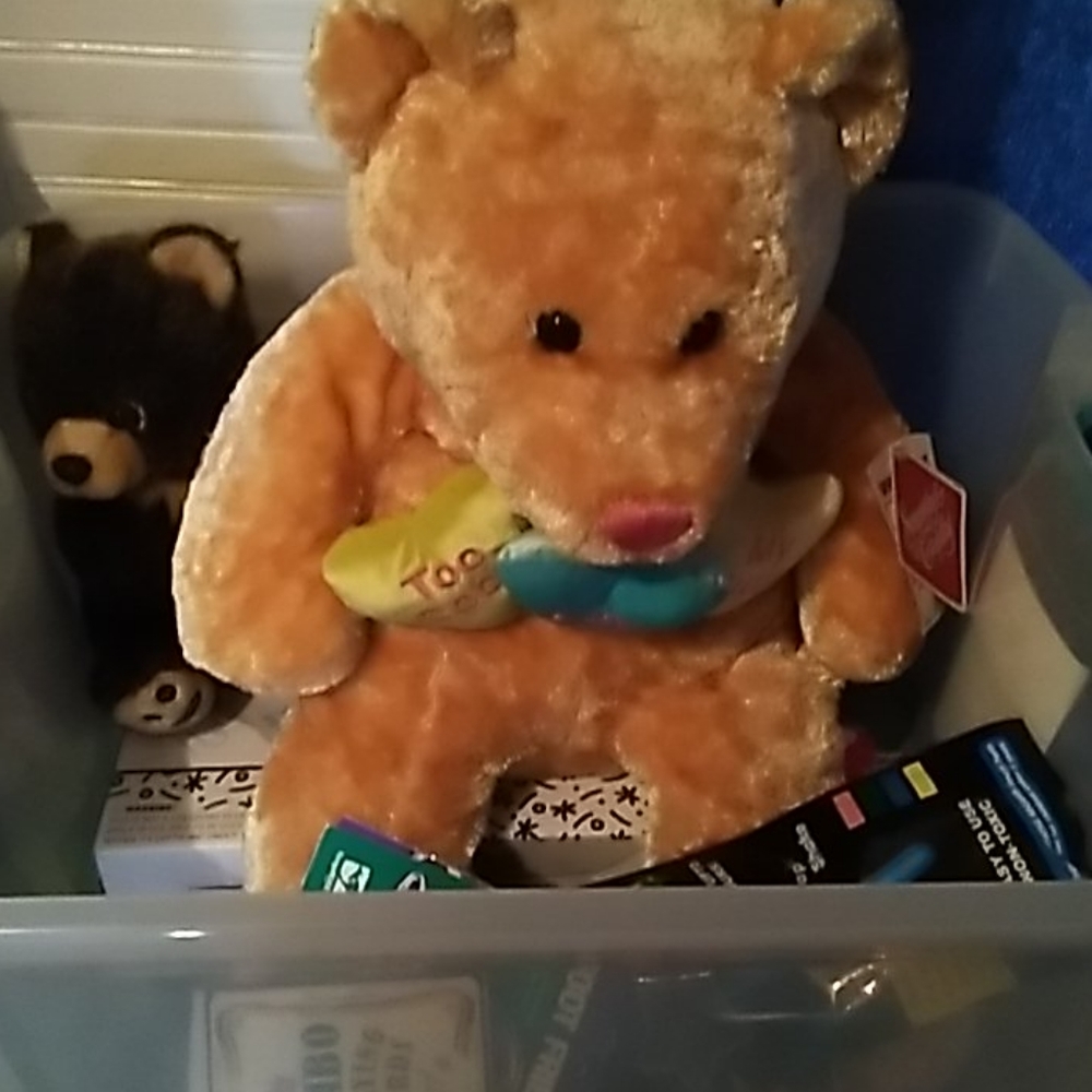 Container full of toys little girls